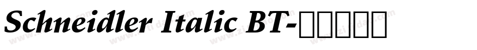Schneidler Italic BT字体转换